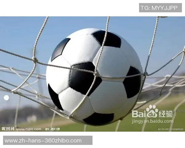 世界杯足球场地标准尺寸详解及其对比赛的影响分析